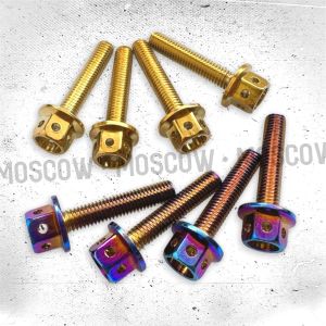 BAUT VISOR WINDSHIELD NMAX XMAX LEXI AEROX PROBOLT STAINLESS THAILAND warna GOLD TWOTONE 2TONE GALAXY BAKARAN IMPORT PNP NINJA AEROX VIXION CBR FU baut visor windshield heng STENLIES GOLD dan baut anti jebol nmax lexi harga sepaket isi 4 pnp