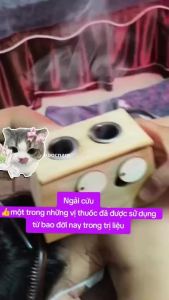 Hộp Gỗ Xông Ngải Cứu 12346 Lỗ Thiết Bị Diện Chẩn Dụng Cụ Xông Hơ