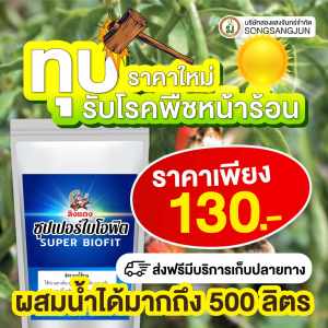 วัคซีนพืชซุปเปอร์ไบโอฟิต  กำจัดเชื้อรา ยารักษาเชื้อรา ยารักษาโรคพืช โรคพริก พริกดก กำจัดโณคแคงเกอร์ ยาโรคกุ้งแห้ง โรคพืชฤดูหนาว โรคเน่าคอดิน โรคราน้ำค้าง เชื้อรา โรคราแป้ง โรคแอนแทรคโนส  ป้องกันแมลง พืชแข็งแรง พืชไม่เป็นโรค ไคโตซานแท้