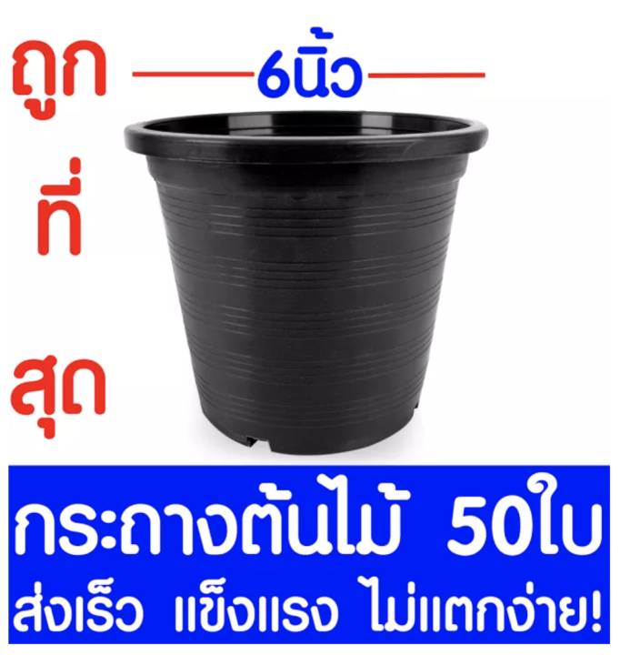 กระถางพลาสติกสีดำ ขนาด 6 นิ้ว แพ็ค 50 ใบ