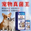 สเปรย์ต้านเชื้อราสำหรับแมวและสุนัข Hong Kong Fungus King สำหรับบรรเทาอาการคัน อาการผมร่วง โรคผิวหนังอักเสบ สเปรย์ต้านเชื้อแบคทีเรียสำหรับโรคกลากและการติดเชื้อราในแมวและสุนัข Hong Kong Fungus King Cat Dog Skin Itching Fungus Itches20251107. 