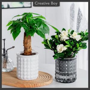 [Creative] Mini Self Watering Flower Pot Fish Tank Transparent Plastic Plant Pots Self Watering Planter Pot Vase For Home Decoration