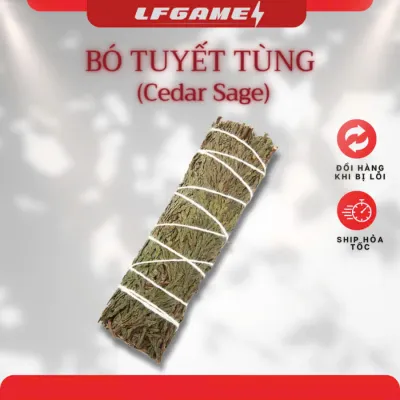 XÔ THƠM THANH ĐÁ Selenite Dùng Xông Phòng Thanh Tẩy Không Gian Tarot Thiền Định