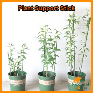 Plant Support Stick Ring Penyangkut Tumbuhan Panjat Tanaman Pokok Bunga Holder Flower Frame Stand Stick Climbing 植物支架