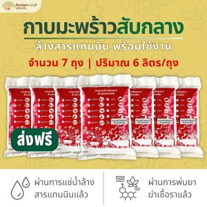 (ส่งฟรี)กาบมะพร้าวสับกลางล้างสารแทนนิน 7 ถุง (6ลิตร/ถุง) พร้อมใช้งาน จัดส่ง 5-7 วันทำการ ส่งฟรี