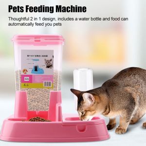 Mangkuk Makanan Hewan Peliharaan Praktis: Pilihan Terbaik Untuk Kucing & Anjing