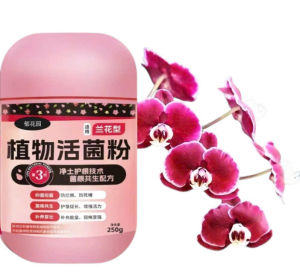 Bộ Chăm Sóc Hoa Lan: Phân Bón Vi Sinh Vật + Kích Mầm Lan + Phân Tan Chậm + Dung Dịch Tăng Trưởng Mạnh+ Xịt Phòng Bệnh