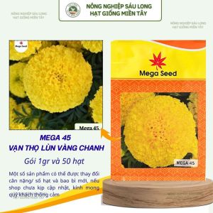 Hạt Giống Vạn Thọ Lùn F1 MEGA 45 – Vàng Chanh Bông To Cây Thấp – Mega Seed