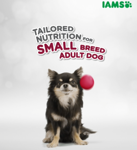 IAMS Dry Dog Food - Small Breed / Adult Dog / Mother & Puppy 3kg