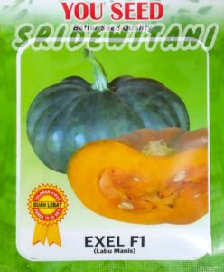 BIBIT BENIH LABU TAHAN VIRUS EXEL F1 ISI 10 GRAM YOU SEED Waluh