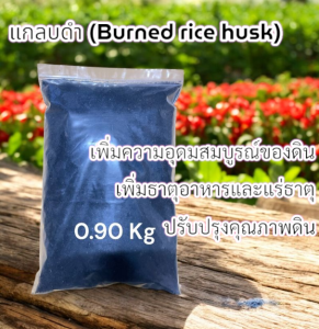 แกลบดำ ขี้เถ้าดำ ขี้เถ้าแกลบผสมเชื้อไตรโครเดอร์ม่า แบ่งขายราคาถูก