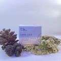 Ella Skincare Plumpy Cera Cica with Ceramide Complex, Mugwort, dan Centella Asiatica - Memperbaiki Skin Barrier. 