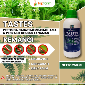 Obat Hama Kemangi / Obat Penyubur Daun Kemangi / Obat Pelebar Daun Kemangi / Obat Daun Kemangi / Obat Pelebat Daun Kemangi / Obat Khusus  Kemangi