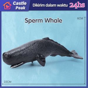Ready Stock Mainan Simulasi Ikan Anak Paus Whale / Hiu / Lumba-Lumba Figure Whale Mainan Edukasi Anak Modeling Binatang Ikan Paus Simulasi Roma Bahan Plastik