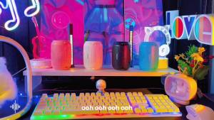 Mogolala Pluggable Radio Voice Subwoofer: A Comprehensive Guide