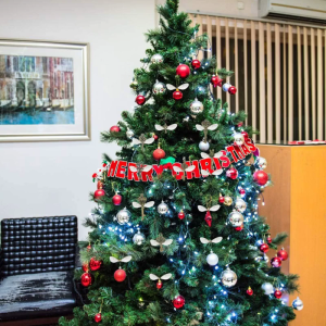 Vintage Antique Skeleton Keys Flying Keys Charms with Dragonfly Wings and Line for Home Decoration DIY Making