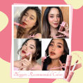 PINKFLASH 4PCS Lipstick Set Soft Matte Liquid Lipstick Waterproof VE Moisturising Long Lasting Lip Tint Lightweight. 