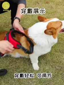 【Reflective&Breathable】Adjustable Dog Leash Dog Harness and Leash Dog leash for Medium & Large Dog