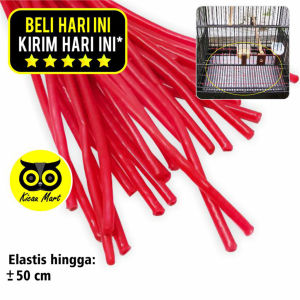 Kicau Mart Karet Pentil Ketapel Ban Sepeda Motor Untuk Selang Spet Loloh Piyek Jebakan Alas Sangkar Kandang Burung Pcs RKECUBUNG1