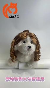 Cross-borderwig for cats and dogs suitable for parties holidays gatherings role-playing judge-style wavy hair accessory for cats