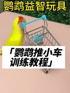 Parrot Bite Toy Bird Complete Collection Tiger Skin Peony Xuanfeng Neutral Relieving Stuffy Decompression Molar Puzzle Accompany Small Swing4566