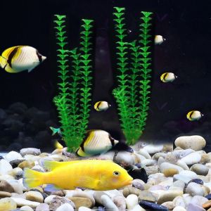 BIBI 37ซม. ค่ะ เหมือนจริงเหมือนจริง อมตะอมตะอมตะ จำลองจำลองจำลอง สวยงามสวยงาม สำหรับตกแต่งตู้ปลา ต้นไม้เทียมประดิษฐ์ หญ้าน้ำ พืชใต้น้ำ สาหร่ายชนิดหนึ่ง