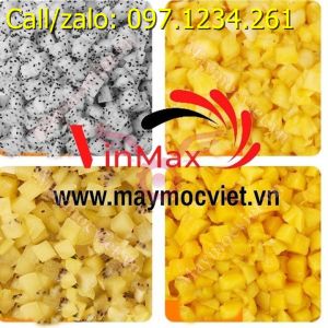 Máy thái rau củ quả đa năng chạy điện VTM300 giá rẻ tại Hà Nội