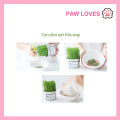 [Sg Ready Stock] Cat Grass Seed For Planting Easy to Grow Oat Grass That Your Cat Will Love Good Cat Grass - Pet Cat Grass Pot Hydroponics Set Cat Grass Snack Hair Ball Cleaning Stomach Grass Hydroponics Grass Cat Snack Cleaning Toys - Paw Loves. 