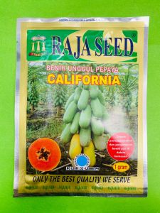 Benih Pepaya CALIFORNIA kemasan 1gr Merk Raja Seed