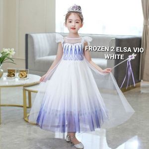 FROZEN 2 ELSA VIO DRESS