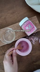 Treat Blend: Powdered Treat Mix Gourmet Dog Ice Cream Healthy Frozen Treats Topper Beverage