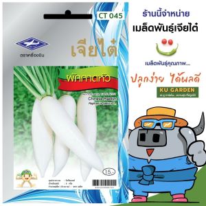 CHIATAI 🇹🇭 ผักซอง เจียไต๋ หัวไชเท้า O045 ประมาณ 400 เมล็ด ผักกาดหัว เมล็ดพันธุ์ เมล็ดพันธุ์ผัก ผักสวนครัว ผักเจียไต๋ ตราเครื่องบิน