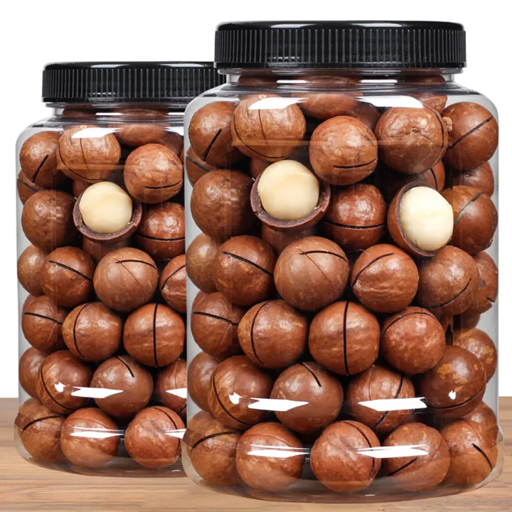 HẠT MACCA ĐĂKLĂK SẤY SIZE ĐẠI ĂN LIỀN HỘP 500G
