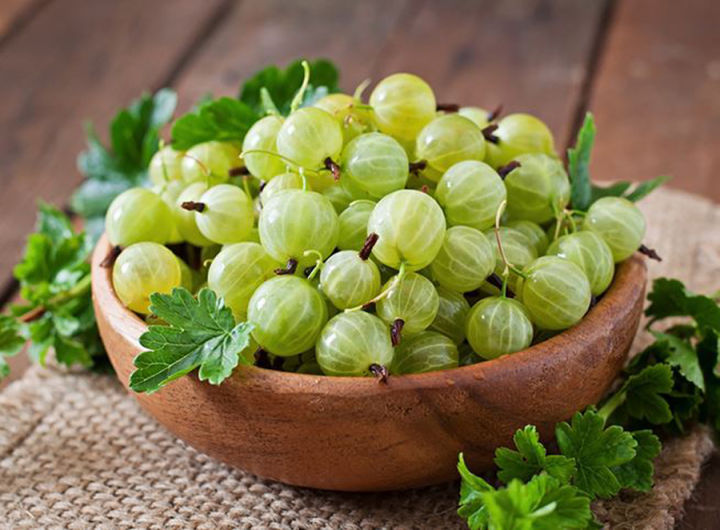 %E0%B8%A1%E0%B8%B0%E0%B8%82%E0%B8%B2%E0%B8%A1%E0%B8%9B%E0%B9%89%E0%B8%AD%E0%B8%A1%E0%B9%81%E0%B8%84%E0%B8%9B%E0%B8%8B%E0%B8%B9%E0%B8%A5%20100%20%E0%B9%81%E0%B8%84%E0%B8%9B%E0%B8%8B%E0%B8%B9%E0%B8%A5%20%E0%B8%9C%E0%B8%A5%E0%B8%B4%E0%B8%95%E0%B8%A0%E0%B8%B1%E0%B8%93%E0%B8%91%E0%B9%8C%E0%B9%80%E0%B8%AA%E0%B8%A3%E0%B8%B4%E0%B8%A1%E0%B8%AD%E0%B8%B2%E0%B8%AB%E0%B8%B2%E0%B8%A3%20%E0%B8%95%E0%B8%A3%E0%B8%B2%20%E0%B8%99%E0%B8%B2%E0%B8%84%E0%B8%8D%E0%B8%B2%20-%20Image%204