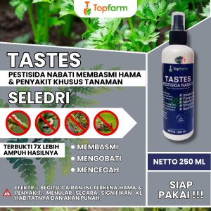 Obat Hama Tanaman Seledri / Obat Daun Untuk Saledri / Obat Tanaman Seledri / Obat Khusus Daun Seledri / Obat Penyubur Tanaman Seledri / Obat Hama Seledri