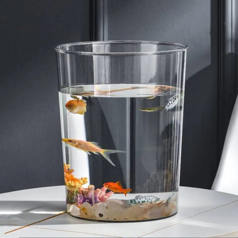 CHIC HUT Transparent Plastic Fish Tank Anti-falling Oval/Square