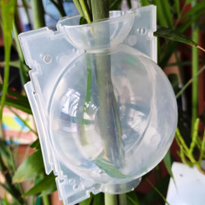 10 ตัว ตุ้มตอนกิ่ง 8ซม.ตอนกิ่งมีที่ล็อคในตัว โปร่ง ขยายพันธุ์พืช ตุ้มตอนพลาสติก แบบหนา แข็งแรง ใช้แทนกาบมะพร้าว