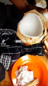 Kerokan Buah Kelapa Muda