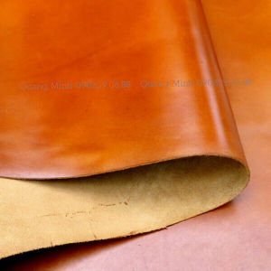 Bọc cần số da bò NAPPA nhập khẩu xe Mitshubishi Xpander AT MT  (6 Mẫu Lựa Chọn)