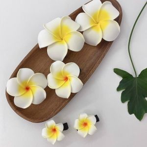 Hawaiian beach vacation style flower hair clip/hair accessories/clip for hair/hair clamp/hairclip for woman