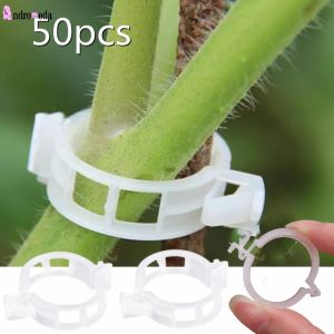 Bộ 10-50-100 Kẹp Khoanh Tròn Cố Định Cành Cây Cứng Và Dây Leo