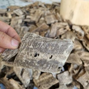 Trầm Miếng (Trầm Ổ) Sạch Hầu Loại Đặc Biệt Xông Tài Lộc Thờ Cúng Thưởng Trầm Xưởng Trầm Âu Lạc