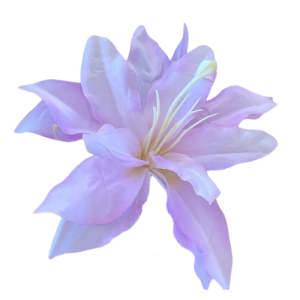 Children Hairpins Hair Clip Flower Shape for Beach Stage Dance Wear Artificial Flower 2000s Girls Headdress Vacation