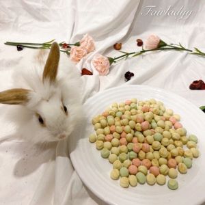 Pet milky mix fruit bun biscuit rabbit chinchilla hamster guinea pig molar chew toy food treat (25g)