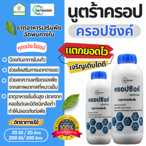 ครอปซิงค์-ธาตุอาหารเสริมพืช ของแท้100% ช่วยให้แตกตา แตกยอดเร็ว และเจริญเติบโตดี ขนาด 1 ลิตร