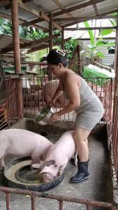 CECICAL Calcium Powder 1KG Animal Feed Supplement for Pigs Poultry & Livestock