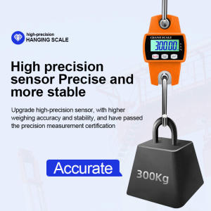 Portable Mini Crane Scale 300kg Heavy Duty LCD Digital Hanging Scale Portable AA Battery Hook Scale Electronic Weighting Baggage Weight Travel Scale Measure Weight Tools