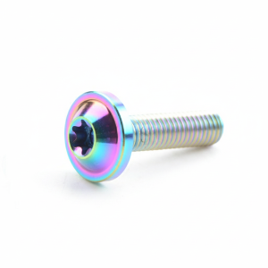 OUREAL M6x10 Titanium Bolts M6x20 with Torx Head Torx Head Screws High Quality M6x15 Motorcycle Fasteners