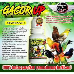 Gacor Up Penggacor Suplemen Vitamin Burung muraibatu/kacer/cucakijo