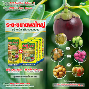 ขยายผลใหญ่มังคุด เร่งสี ขยายผล สร้างเนื้อ ทรงสวย ฮอร์โมนพืช ปุ๋ยเกล็ด ปุ๋ยยา 1 ลิตร + 3 กก.